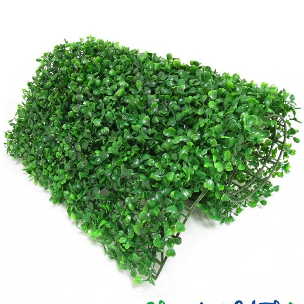 Little leaf Boxwood wall pannel